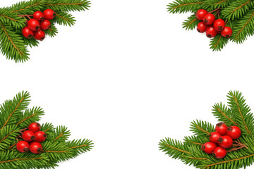 Christmas holiday border frame with fir tree branches and red berries, seasonal winter design on transparent background