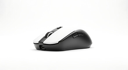 Computer Mouse on White Background
