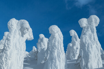 山形蔵王の白銀世界の樹氷