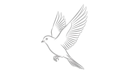Fototapeta premium Thin outline of a flying bird isolated on a transparent background