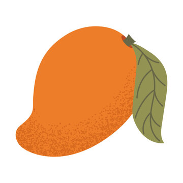 Simple mango illustration. Fresh mango fruit. Healthy food concept. Minimal flat vector design for interior, poster, cover, banner. Isolated on white background.