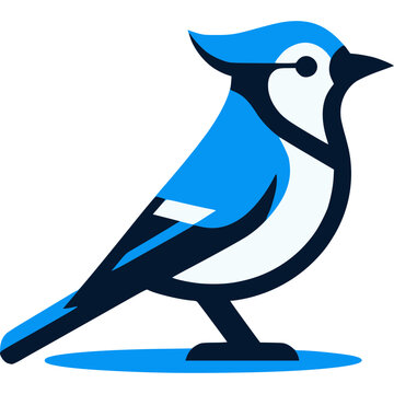 Blue Jay Icon Vector