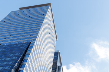 Fototapeta premium Modern glass skyscrapers photographed from a low angle against a clear blue sky.
