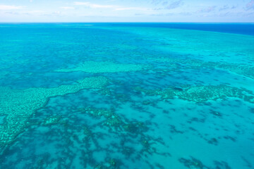 Aerial view of a vibrant coral reef in clear blue ocean. Great Barrier Reef, Australia © ronnybas