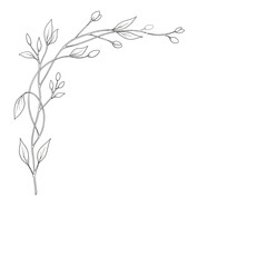 Elegant vine corner accent with leaves and buds, hand-drawn sketch style