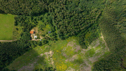 Aerial rural homestead with orange roof house in forest clearing © Ekaterina