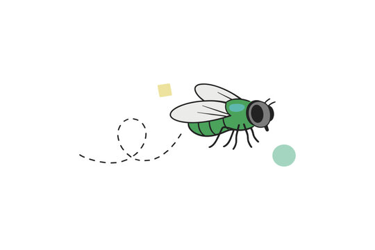 Illustration of a cartoon fly with dotted flight path on white background