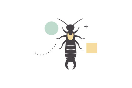 Minimalist earwig illustration with geometric shapes
