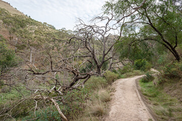 dirt road in the mountains