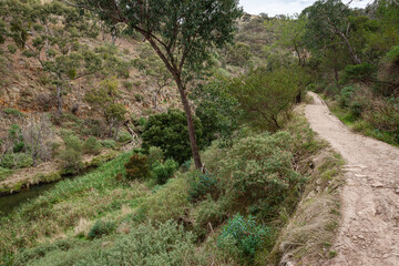 path to the mountain