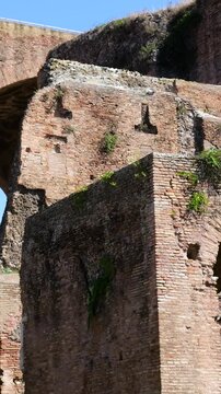 massive ancient roman brick arches walls appears layered different heights weathered surfaces greenery clear blue sky crowns tempio del divo romolo view rome italy empire emperor 