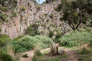 old stone wall in spring