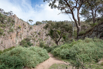 Joshua Tree National Park