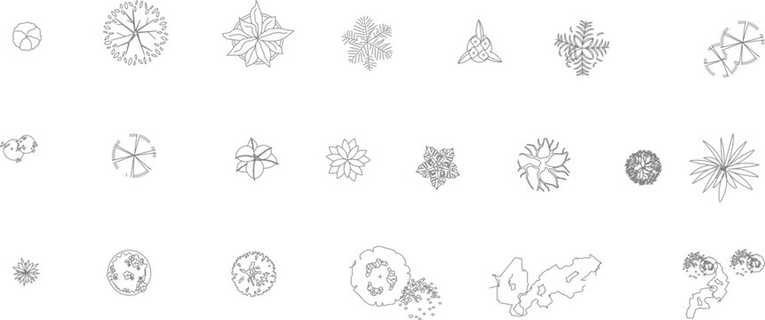 Collection of top view vector line art symbols representing various trees and plants for architectural site plans and landscape design layouts.