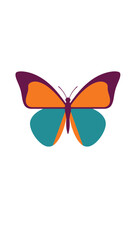 Colorful Butterfly Illustration on White Background
