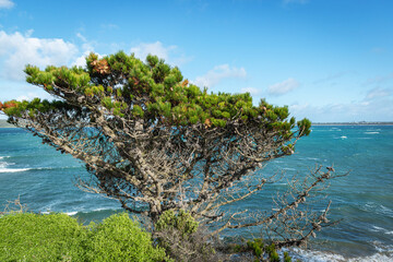 view of the coast of the sea