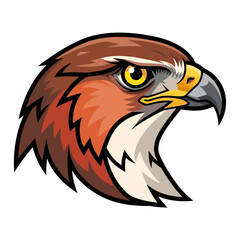 Fototapeta premium Hawk Head Illustration - Fierce Predator Bird, Wildlife Art