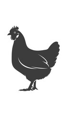 Fototapeta premium Silhouette of a Chicken Hen on a White Background