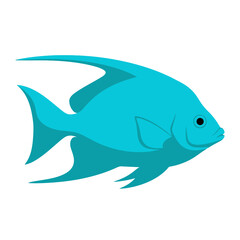 Obraz premium Turquoise Angelfish Illustration on White Background