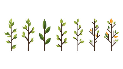 Fototapeta premium Vector Set of Simple Green Plant Branches with Leaves