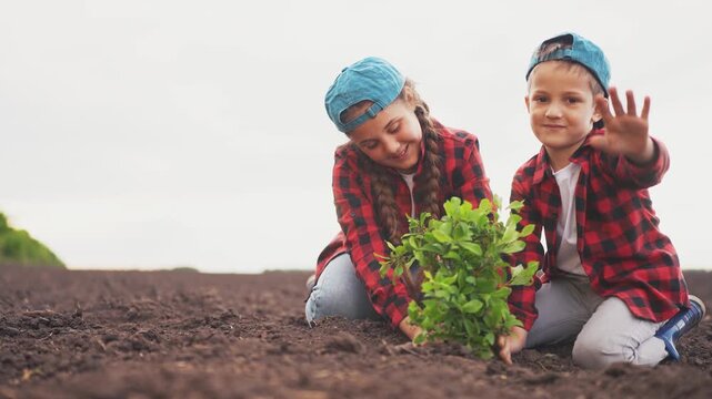 Two children in field planting plant. Young farmer planting a tree with children. Farmers planting seeds lifestyle in a field. Two kids in a field sowing a plant.