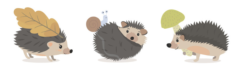 Collection vector hand drawn illustration set of cartoon hedgehog isolated on white background. Cute character wild forest animals with leaves, snail and mushroom. © iv.rymm