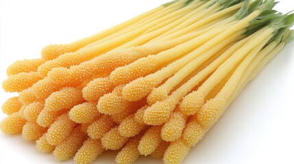 Close-up showcasing fresh cordyceps militaris for gourmet culinary applications