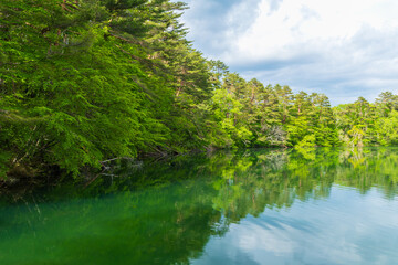 日本の風景・初夏　福島県裏磐梯　新緑の五色沼湖沼群　柳沼
