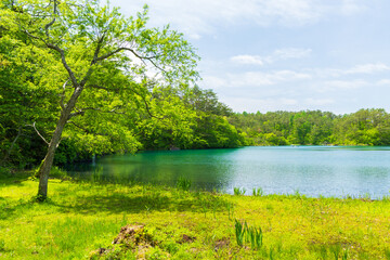 日本の風景・初夏　福島県裏磐梯　新緑の五色沼湖沼群　毘沙門沼