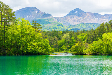 日本の風景・初夏　福島県裏磐梯　新緑の五色沼湖沼群　毘沙門沼と磐梯山