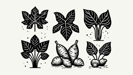 Fototapeta premium Black and White Leafy Root Vegetable and Plant Illustration Set