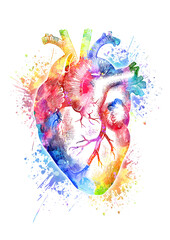 Obraz premium colorful heart painted watercolor