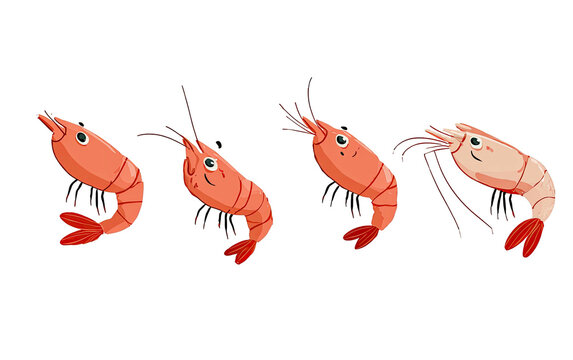 Cartoon depiction of four crustaceans, each with a different pose, facing left against a black backdrop