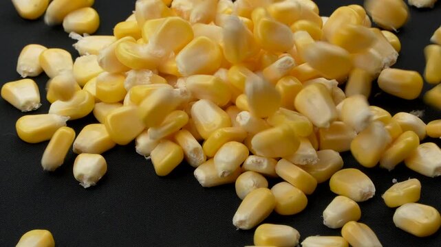Macro of a large quantity of yellow sweet corn kernels falling in slow motion onto a black background.