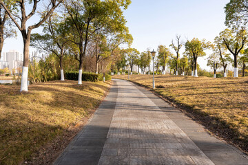 walkway in the modern city