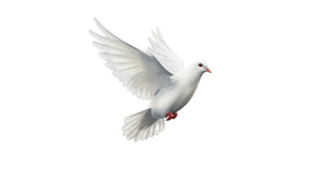 Obraz premium Realistic White Dove Flying Transparent Background Soft Lighting