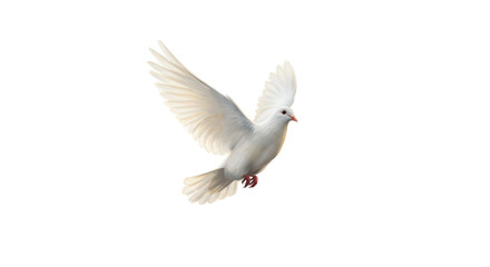 Realistic White Dove Flying With Wings Spread Soft Light Isolated PNG