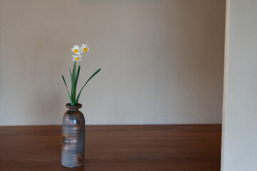 flowers in vase © Amane