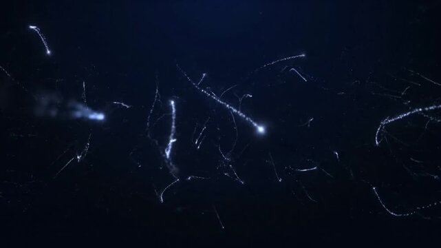 glowing trails of light particles moving in the dark abstract background motion footage