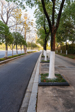 Empty urban road and buildings in the city