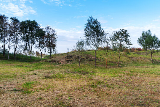 Beautiful panorama of green city park