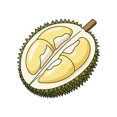 Halved Durian Fruit Illustration Tropical Food Vector Graphic