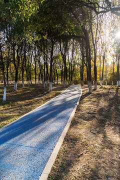 The road of City Park in China