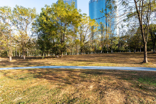 city park with modern building background in shanghai