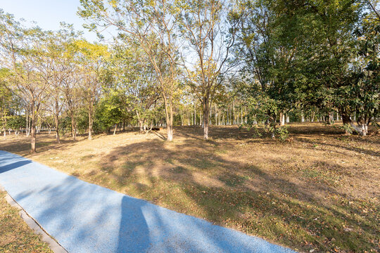 The road of City Park in China