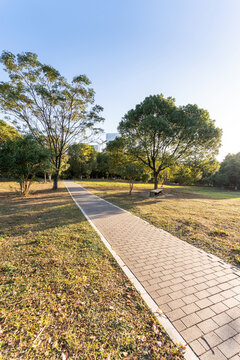 The road of City Park in China