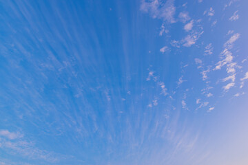 青空に噴き上がる雲