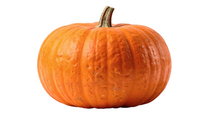 Obraz premium Pumpkin isolated cutout on transparent background