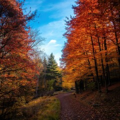 Creative workspace with modern technology 46