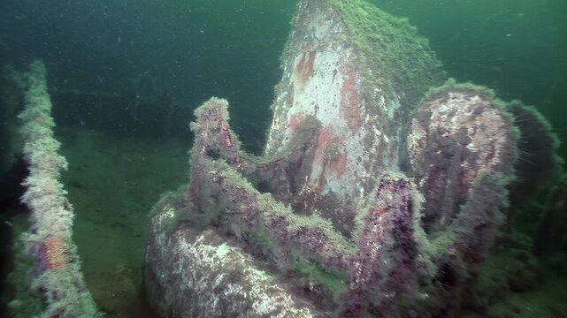 An exploration of an underwater shipwreck in the White Sea. See old corroded metal structures now hosting coral and algae. A ghostly reminder of the past beneath the waves.